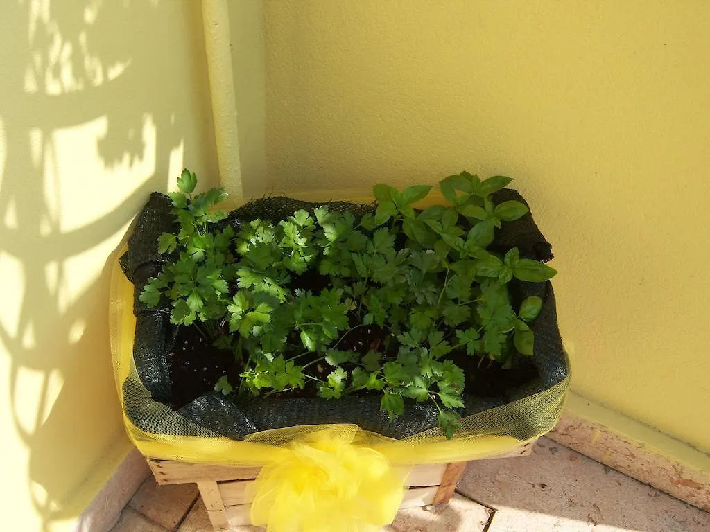 Bed & Breakfast B&B Corte Barbieri Dolce